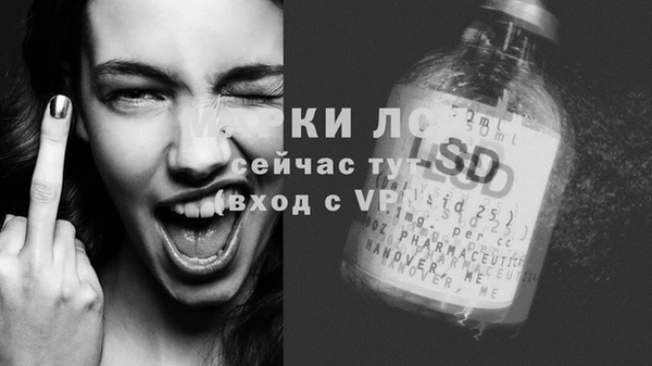 спиды Арсеньев